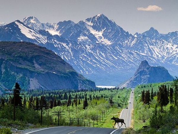 Widow takes dead husband on road trip in Alaska Widow takes dead husband on road trip in Alaska