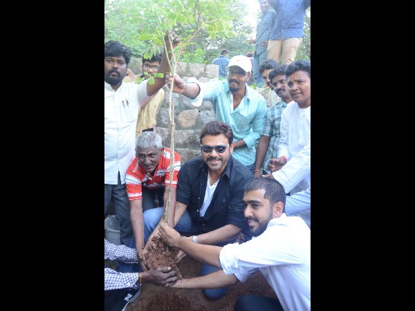 Hero Venkatesh Participates in Haritha Haram at Ramanaidu Studio Hero Venkatesh Participates in Haritha Haram at Ramanaidu Studio