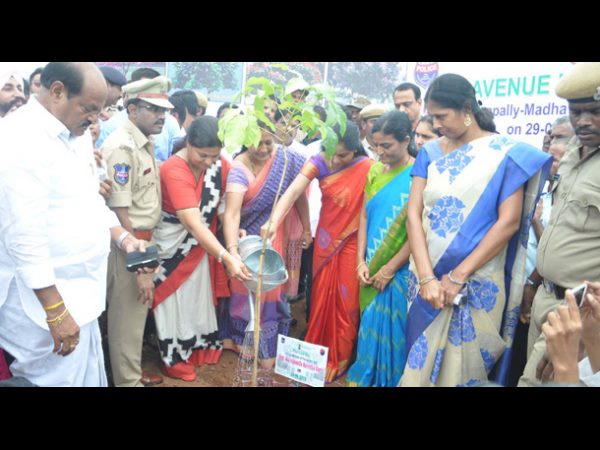 హరితహారం కార్యక్రమంలో మొక్కలు నాటిన ఎంపీ