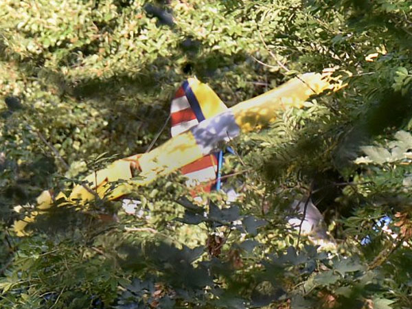 Ultralight pilot in Germany spends night in tree after crash Ultralight pilot in Germany spends night in tree after crash