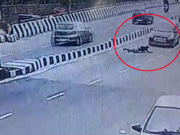 Man tried to commit suicide on road in lungarhouse, Hyderabad Man tried to commit suicide on road in lungarhouse, Hyderabad