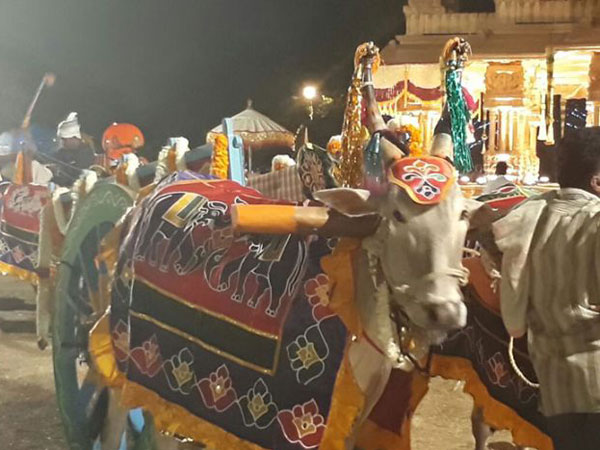 గ్రామీణ వాతావరణం అంటే ఇష్టం