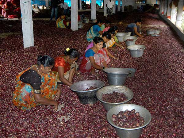 banned currency effect on an onion market banned currency effect on an onion market