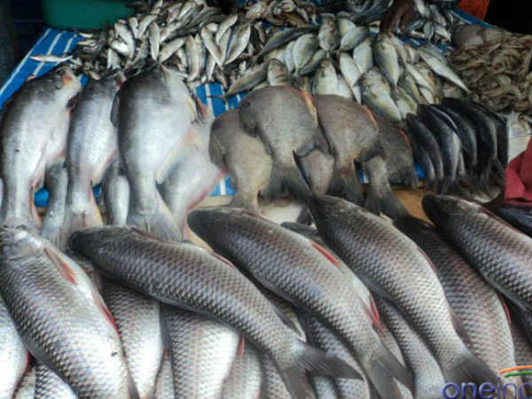 after eating fish soup one man dead, another five members serious after eating fish soup one man dead, another five members serious