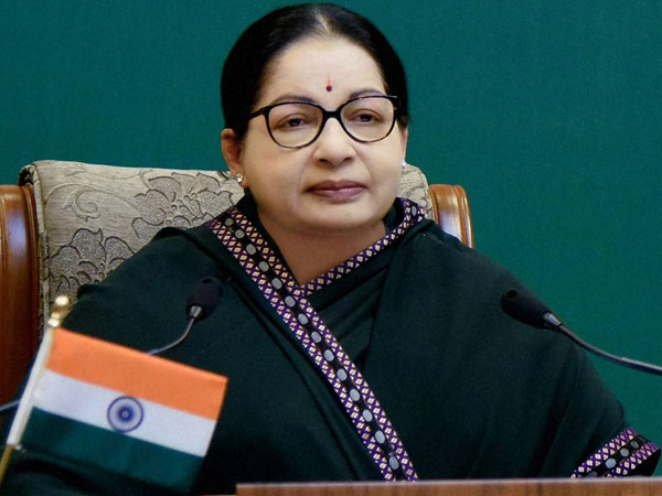 కుక్కలు అంటే ఇష్టం
