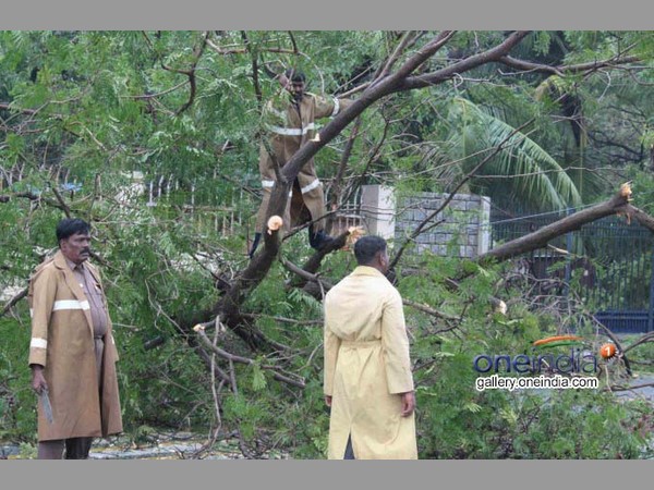 సెలవులు ప్రకటించారు