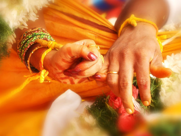 మొక్కల పంపిణీ