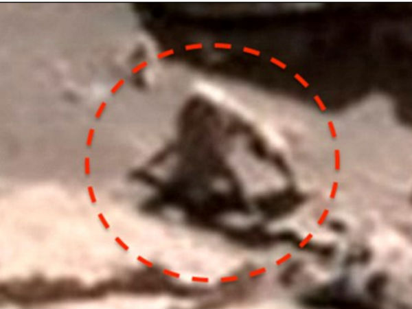Alien hunter claims to have spotted a 'hairy spider monkey' and 'slug animal' on Mars among several bizarre sightings Alien hunter claims to have spotted a 'hairy spider monkey' and 'slug animal' on Mars among several bizarre sightings