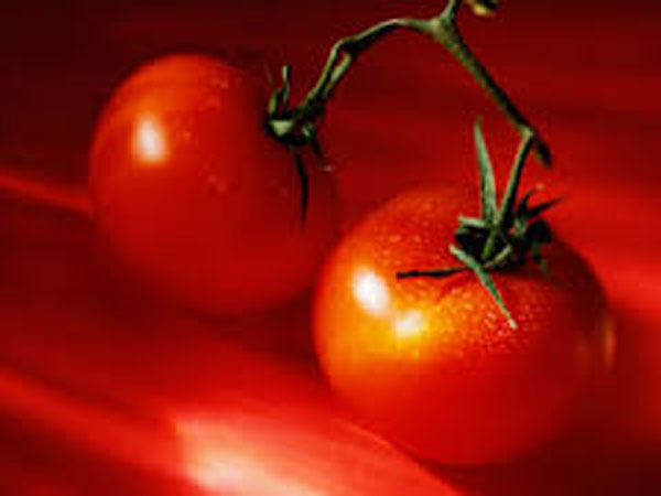 Tomato prices plunge to all time low of Rs 3-Rs 7 per Kg Tomato prices plunge to all time low of Rs 3-Rs 7 per Kg