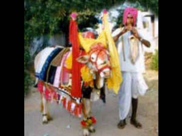 The importance of Bhogi festival The importance of Bhogi festival