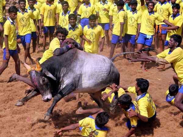 పలు జిల్లాల్లో..