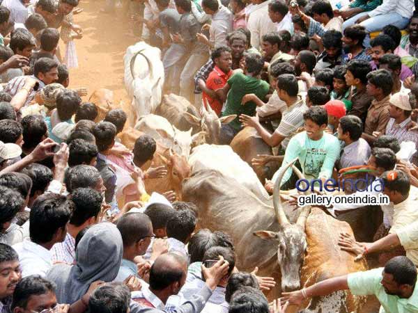 నిబంధనలతో..