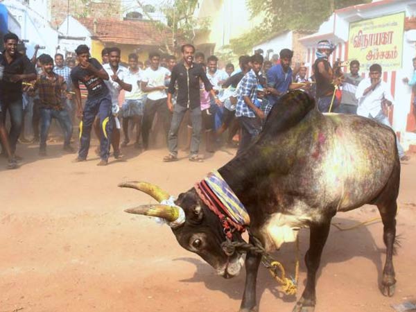 ఆందోళనలో నటులు