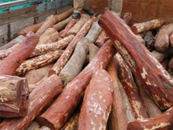Police Coombing.. Smugglers Attack.. What happened... Police Coombing.. Smugglers Attack.. What happened...