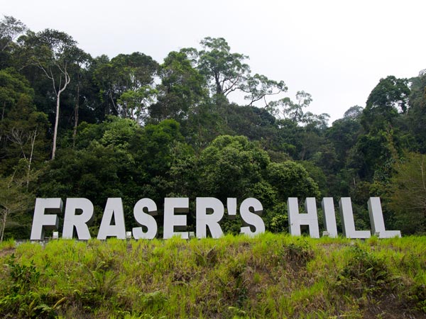 reasons why you have to visit malaysia reasons why you have to visit malaysia