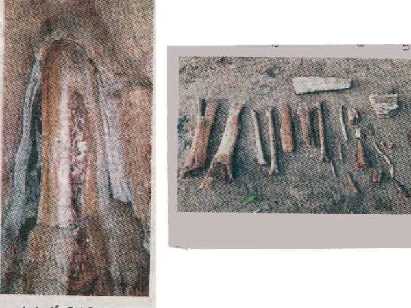 Primitive human being Landmarks in nallagutta. Primitive human being Landmarks in nallagutta.