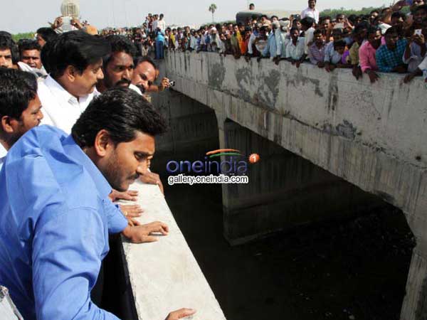 అందుకు కలెక్టర్పై జగన్ ఆగ్రహం