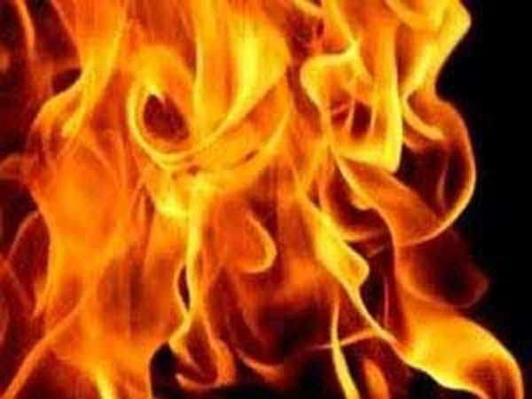 Jodhpur: 20 year old girl burnt alive for protesting against chopping of trees Jodhpur: 20 year old girl burnt alive for protesting against chopping of trees
