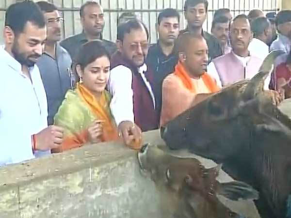సీఎం ఆదిత్యనాథ్పై..