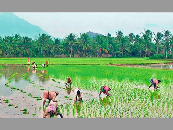నిత్యం నీరు పారిస్తే బెటర్