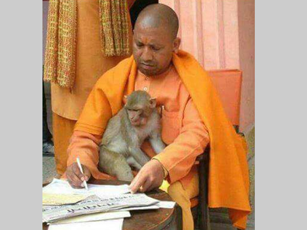అఖిలేష్ పైన యోగి ఆగ్రహం