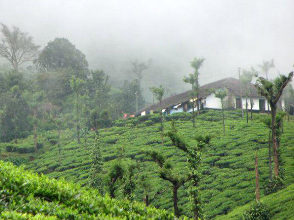 munnar munnar