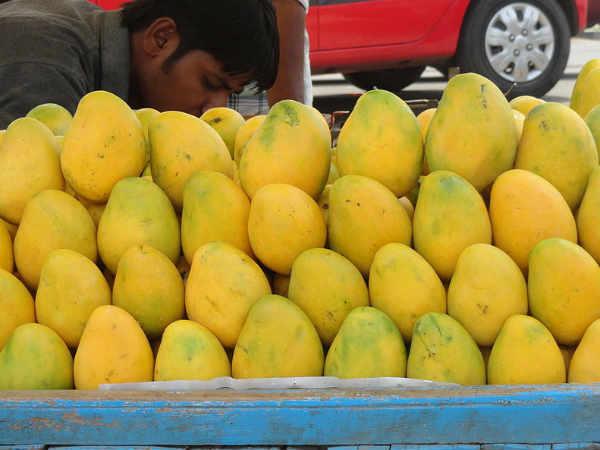 Mango rates fall, farmer hits in market confusion Mango rates fall, farmer hits in market confusion