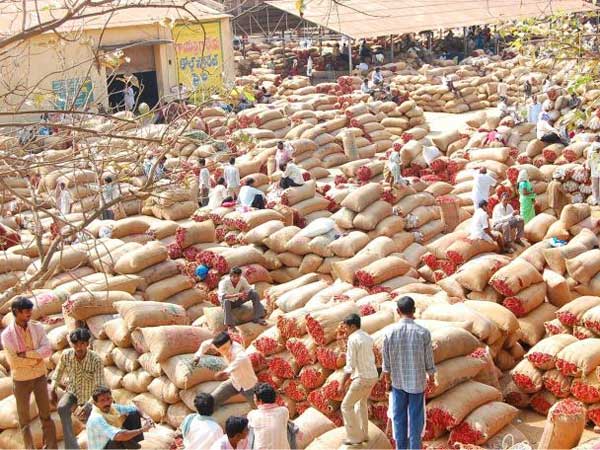 chilli farmers attacked on Khammam market yard chilli farmers attacked on Khammam market yard