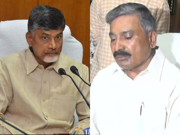Chandrababu is big zero before me: Peddireddy Chandrababu is big zero before me: Peddireddy