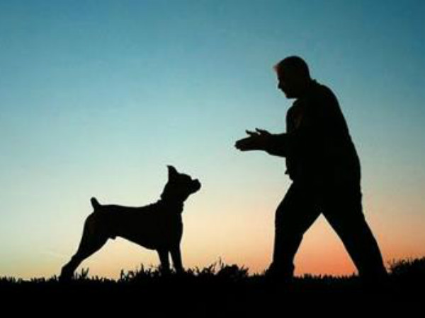 chand became a hero after fights with dogs chand became a hero after fights with dogs