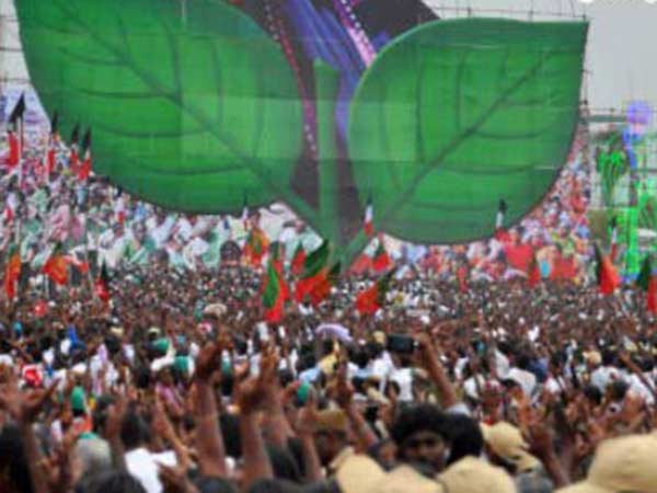 ఎవరు పట్టించుకుంటారు ?