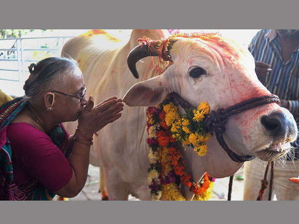 మేం పట్టించుకోం, ఏం చేస్తారు ?