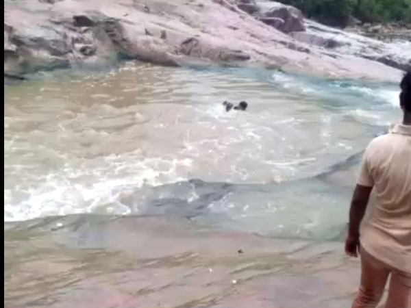 గజఈతగాళ్ల గాలింపు..