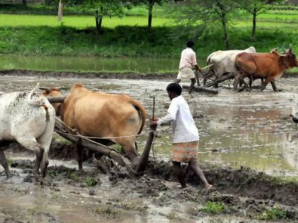 400 కోట్లకు రూ.62 కోట్ల రుణాలు