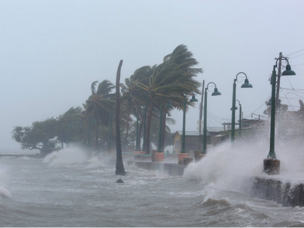Hurricane Irma: a million homes lose power as storm makes landfall in Florida Hurricane Irma: a million homes lose power as storm makes landfall in Florida