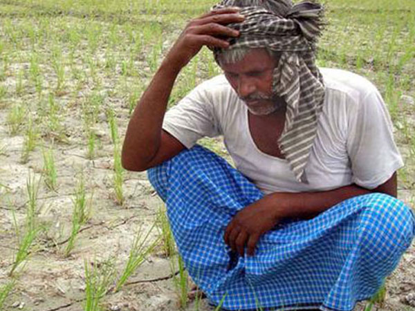 ఇదీ వాస్తవం: