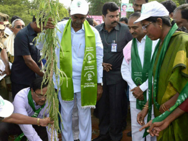 నానా తంటాలు