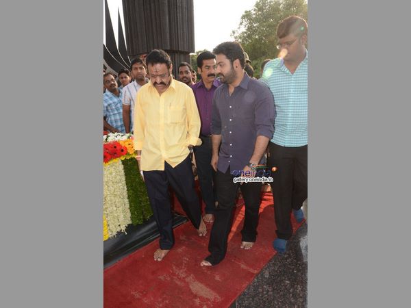 హరికృష్ణ వద్దని ఒత్తిడి