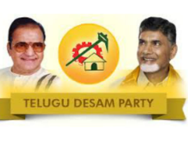 ఎన్టీఆర్పై అభిమానంతో..