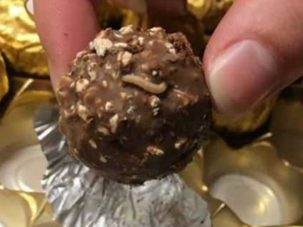 maggots-ferrero-rocher maggots-ferrero-rocher