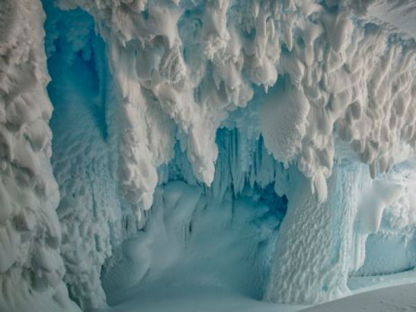 Australian National University study finds life could live under Antarctic ice Australian National University study finds life could live under Antarctic ice