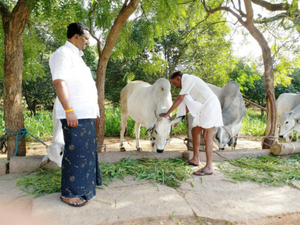 raghuveera reddy visited Anantapur district villages raghuveera reddy visited Anantapur district villages
