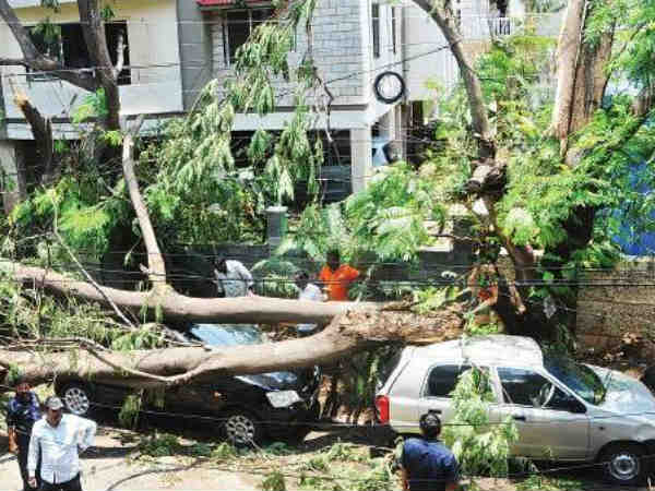 రంగంలోకి డిజాస్టర్ మేనేజ్ మెంట్ బృందాలు..