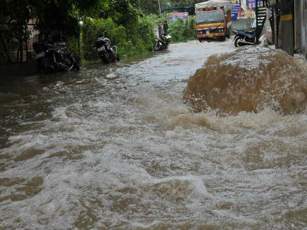 జలాశయాల్లో జలకళ