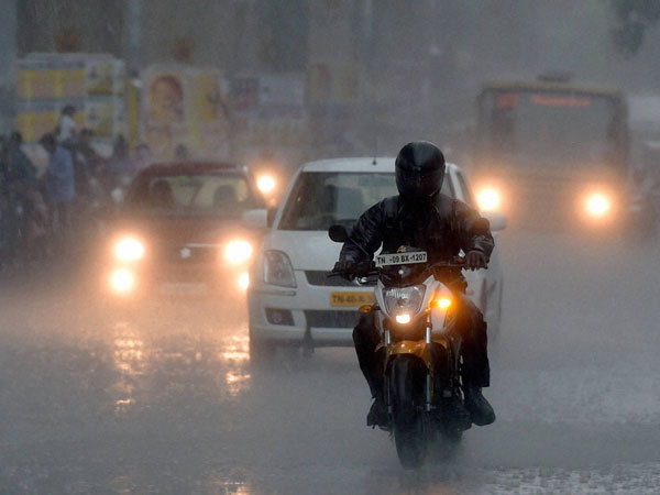 విరిగిన చెట్లు, నిలిచిన నీరు..
