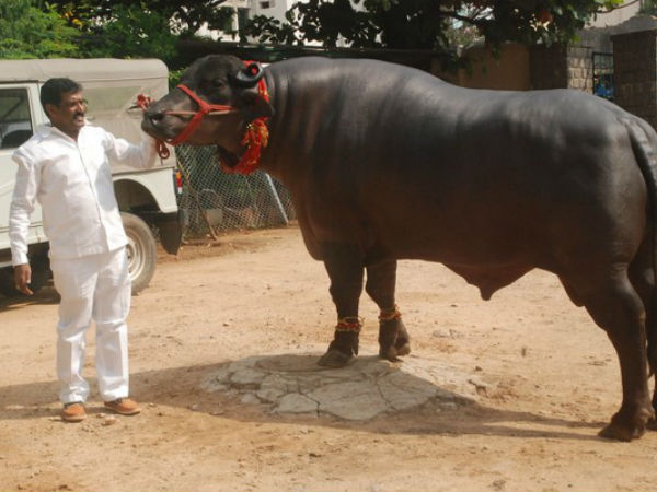 రూ. 25కోట్ల సెషన్ షా