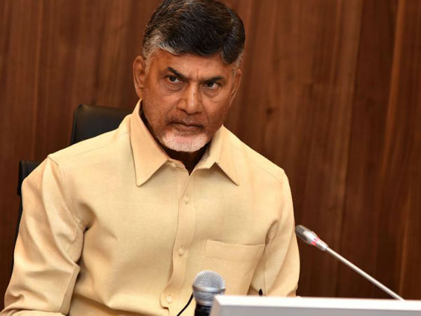 CM, Lokesh should answer on gun culture: YSRCP CM, Lokesh should answer on gun culture: YSRCP