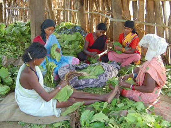 Questions raised on Tribal University Questions raised on Tribal University