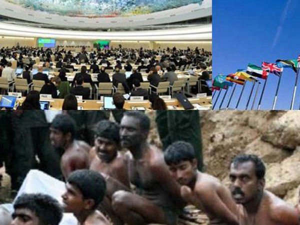 లైంగిక టార్చర్