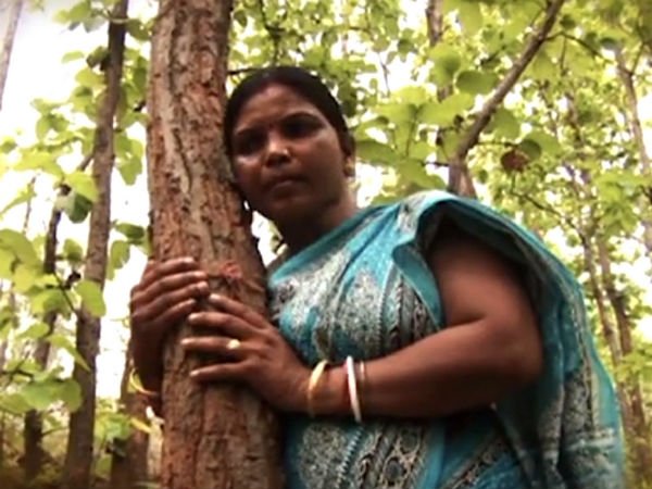 ఆమెకు ప్రతి చెట్టు ఒక సోదరుడే